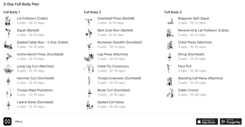 3 day full-body training plan sample for intermediate-level trainees
